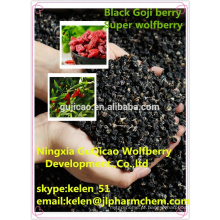 ISO certificado Black Goji Berry extrato em pó preto Lycium Barbarum preto Wolfberry extrato antocianidinas 25% UV